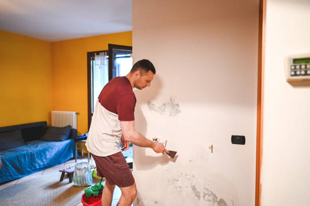 Best Mold Testing and Removal  in Hines, OR